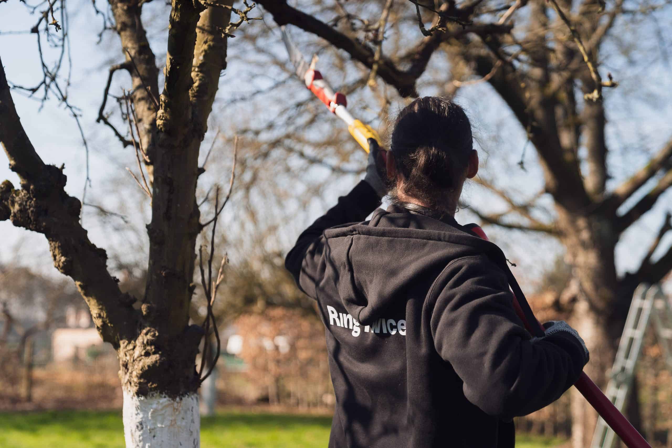 un jardin sans entretien