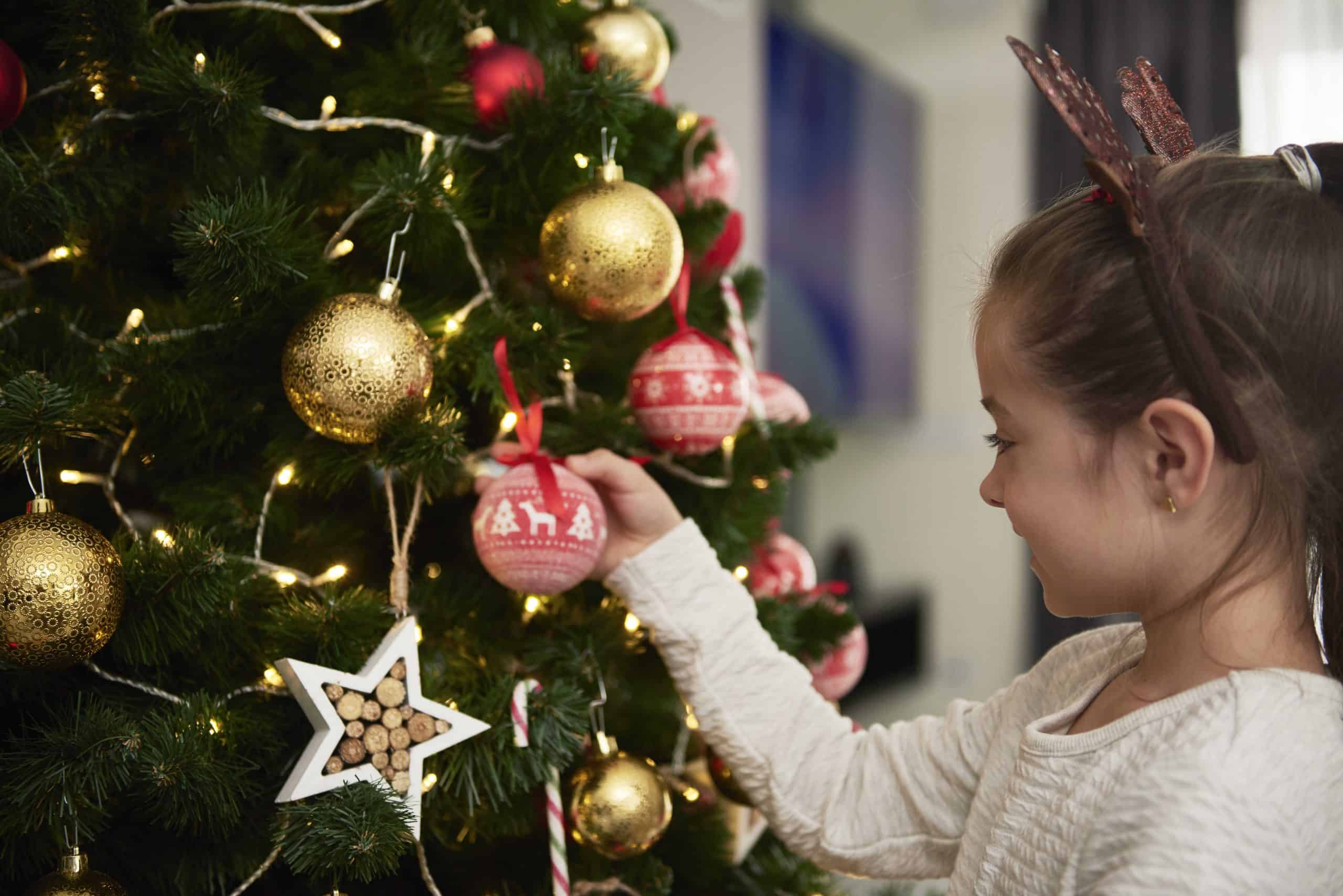 acheter un vrai sapin de Noël