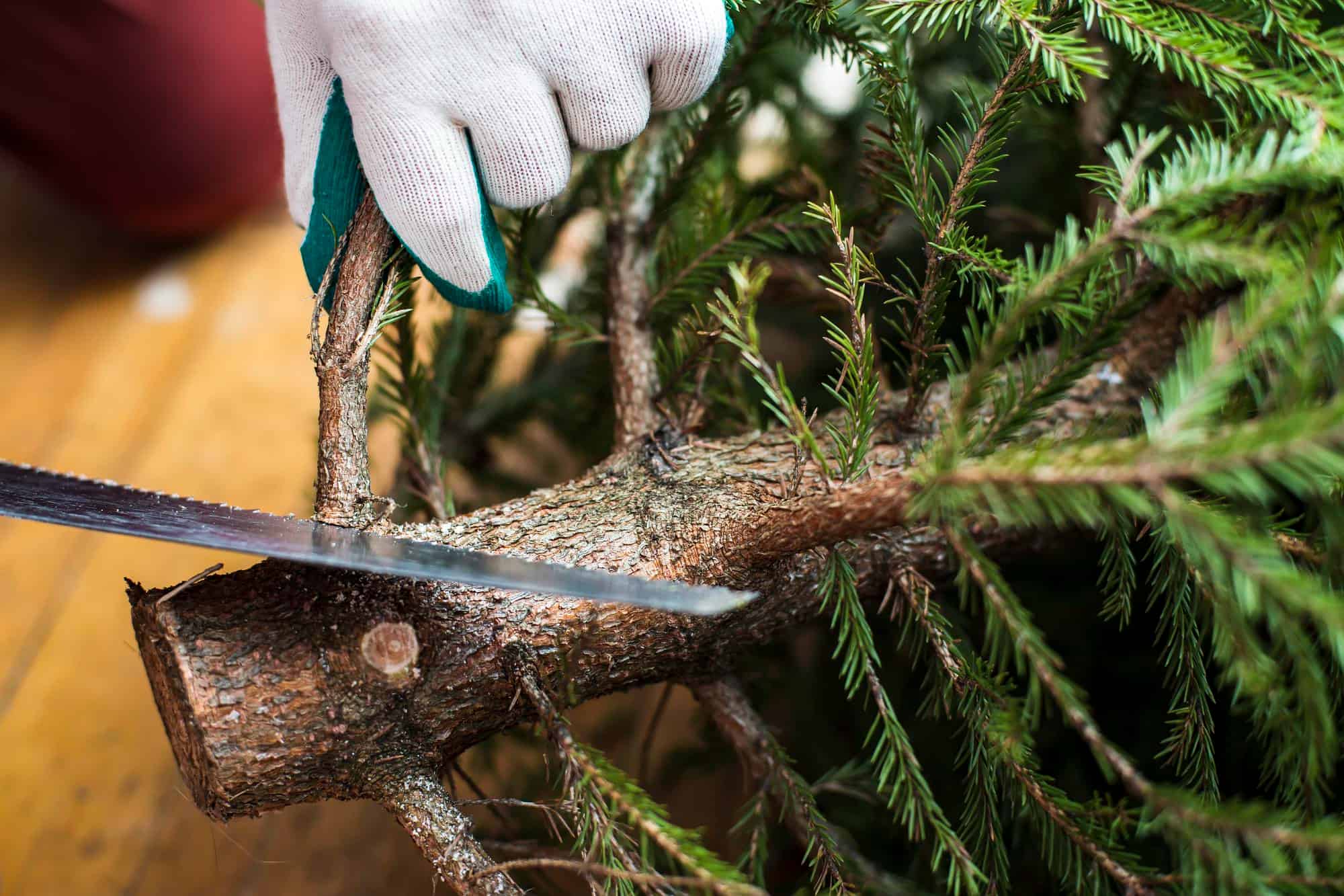 ranger sapin après les fêtes