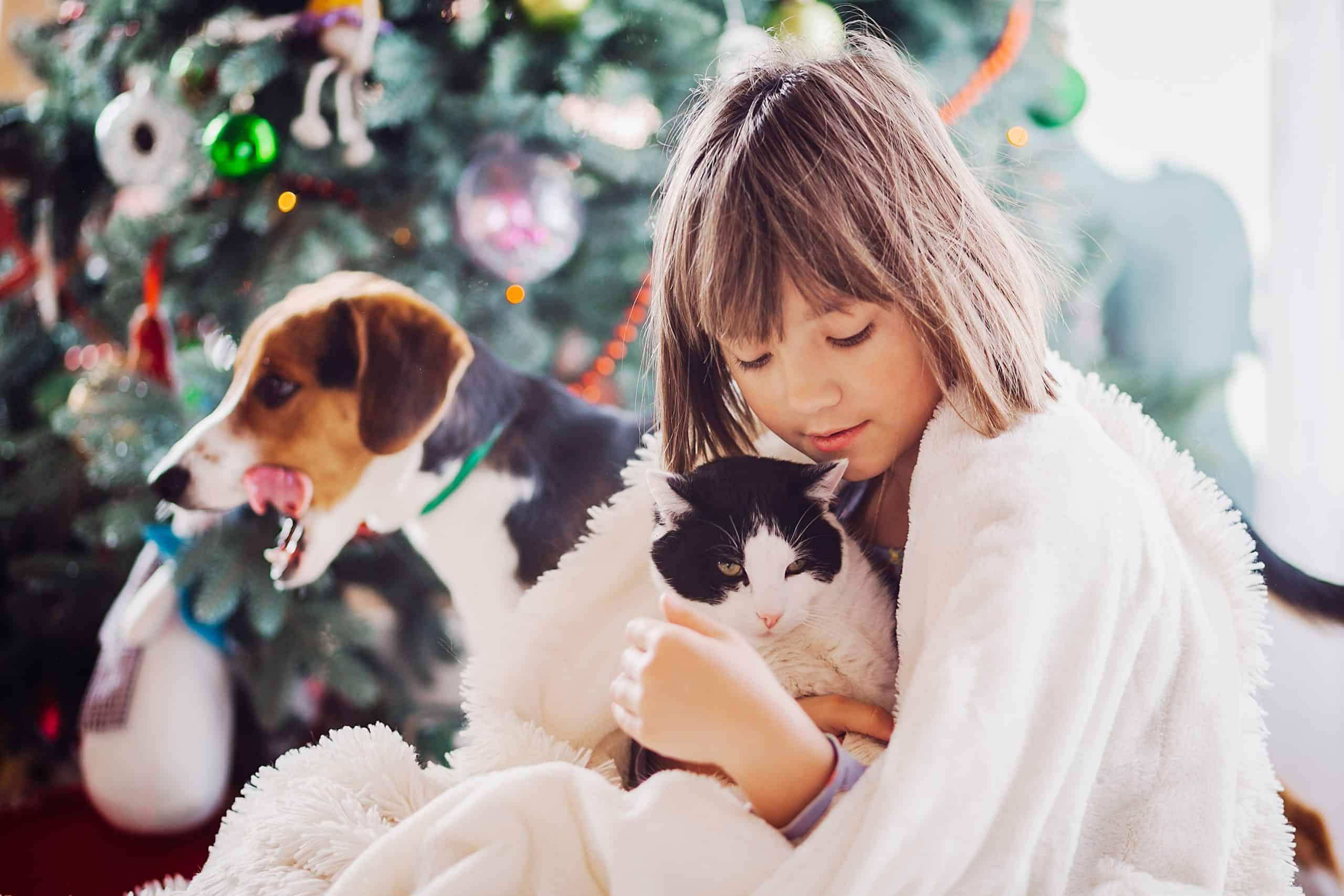 petite fille avec chien et chat devant sapin de noël