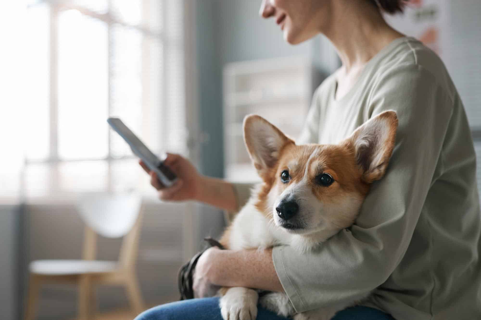 communication avec maitres