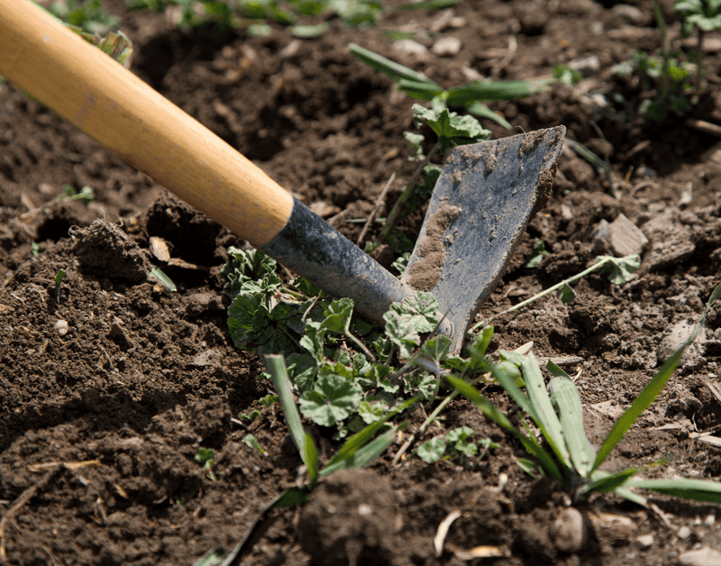 Quels outils utiliser pour labourer son jardin ?