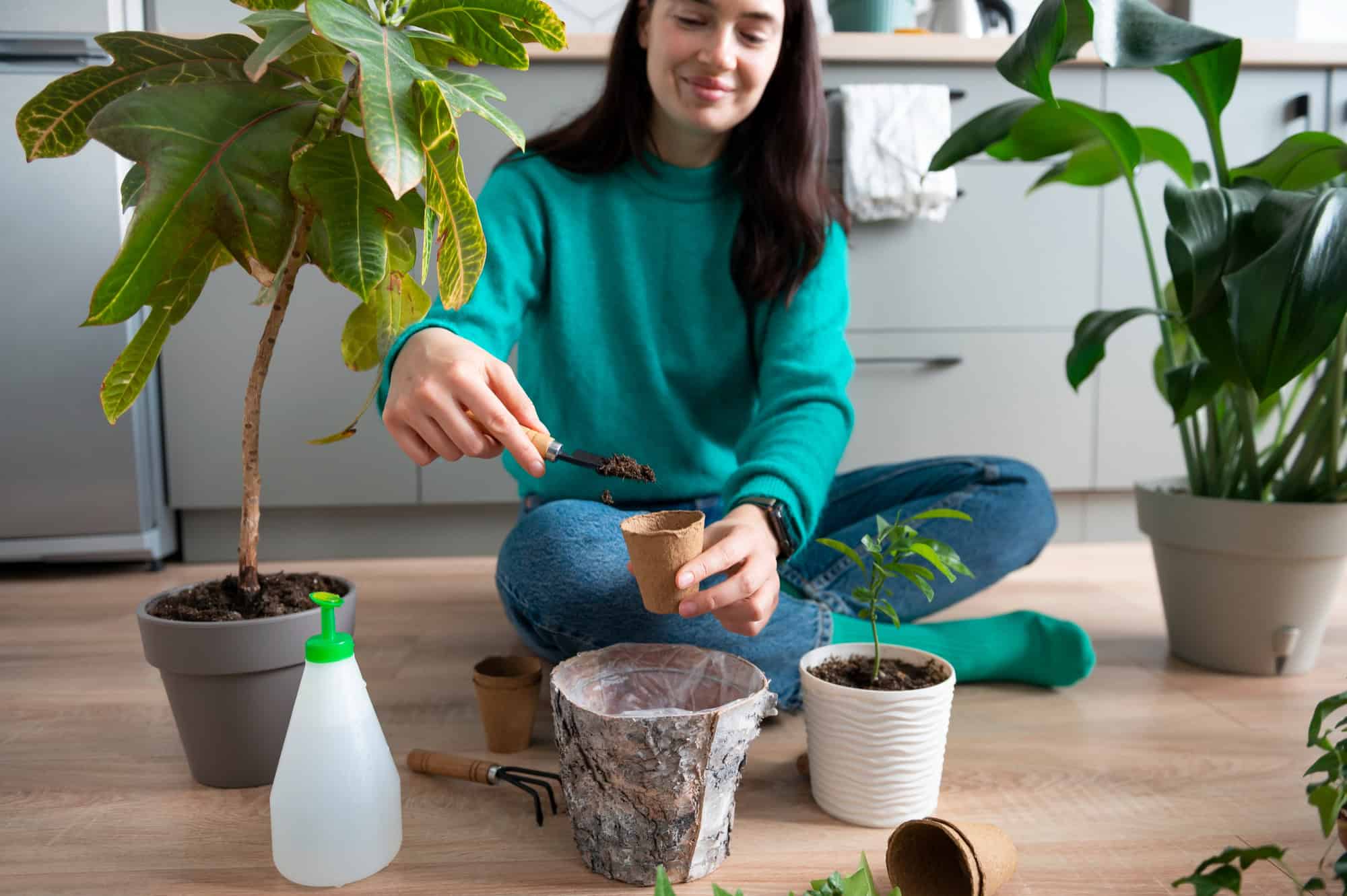 plantes deviennent jaunes : les raisons